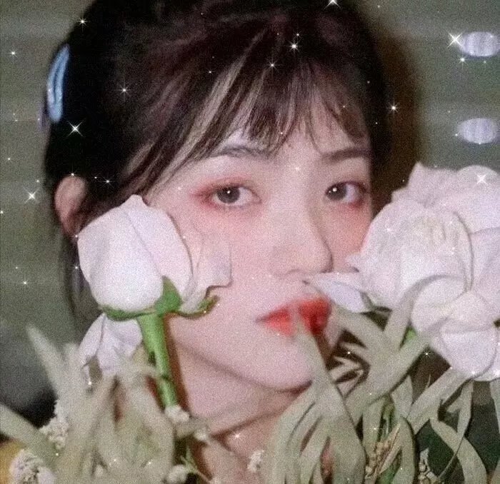 农家女婿和千金媳妇